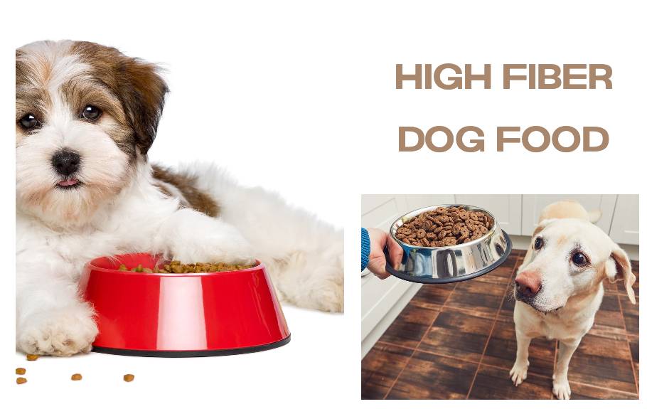 Dog food with fiber