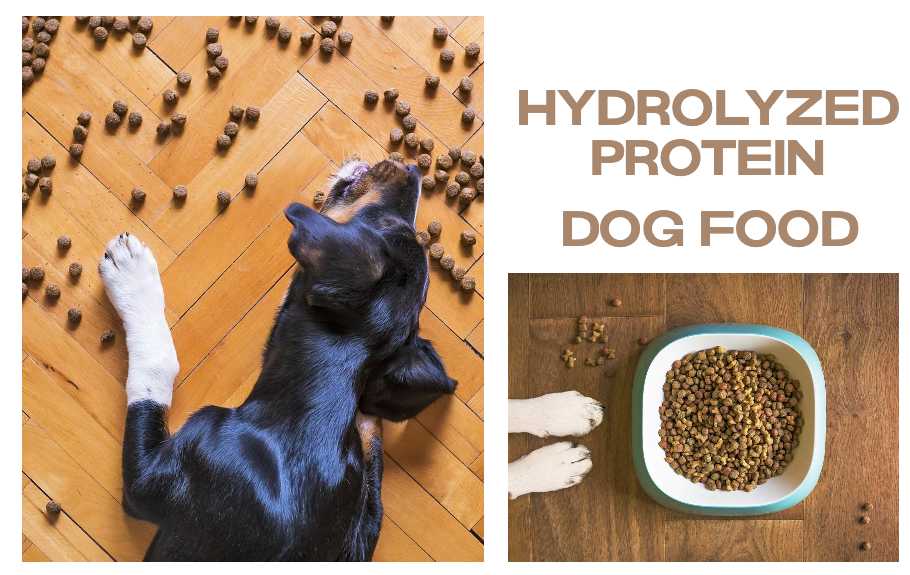 Decoding Hydrolyzed Protein Dog Food